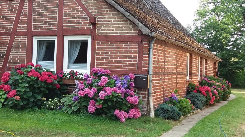 Von Wiegen, Ferienwohnungen Schneverdingen Extérieur photo